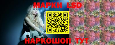 спайс Кинель