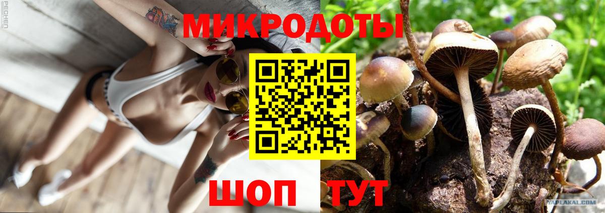 Галлюциногенные грибы Psilocybe  Вход с VPN  купить наркотики цена  Конаково 